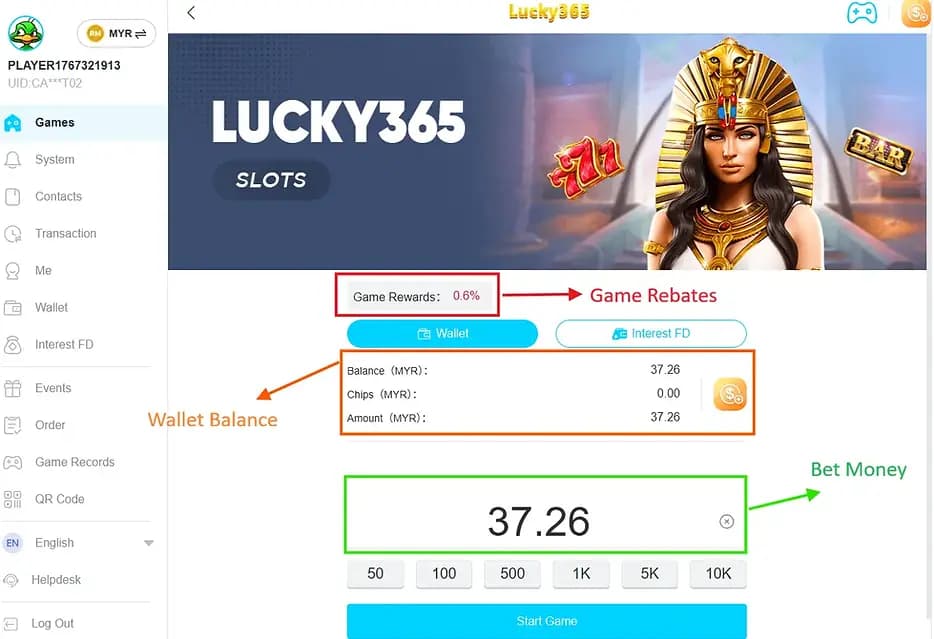 Winbox Betting Interface Image
