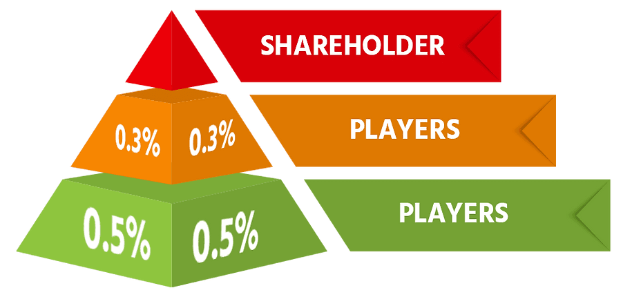 Shareholder 玩家等级金字塔
