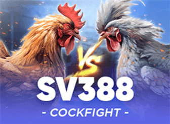 Winbox SV388