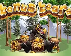Bonus Bears slot