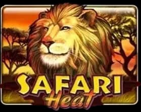 Safari Heat slot game